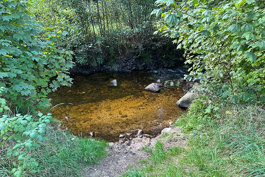 Badestelle für Hunden an der Enzpromenade Richtung Kurpark