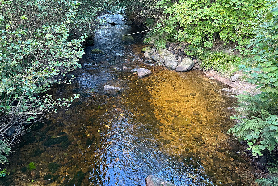 Badestelle an der Enz zum abkühlen