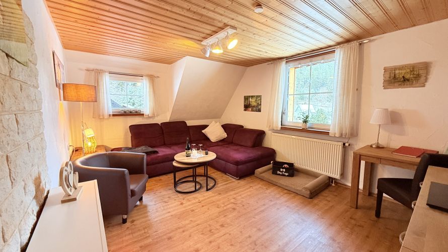 gemütliches großes Wohnzimmer mit Elektrokamin